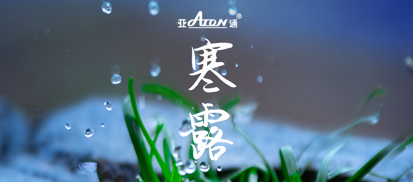 寒露 | 疏枝凝霜露，千山頌金秋